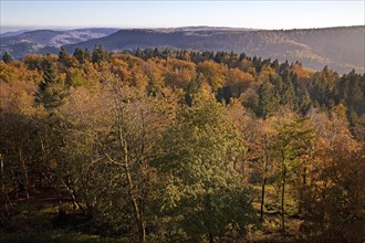 Teutoburg Forest in autumn from the Hermann monument