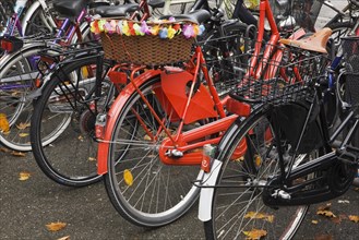 Row of parked bicycles
