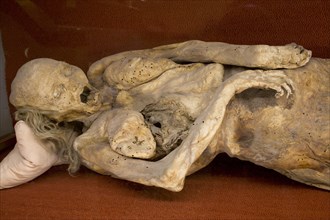 Mummy in the Mummies' Museum
