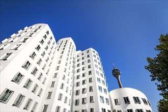 Neuer Zollhof or Gehry Bauten buildings