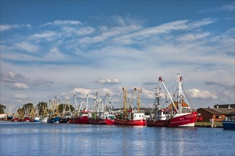 Shrimp boats in the harbour