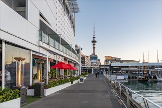 View of the Sky Tower from Princes Wharf
