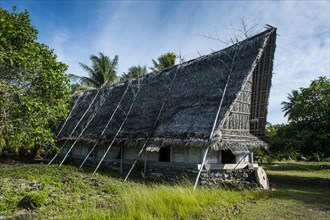 Traditional thatched hut