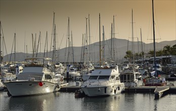 Yachts in the evening light