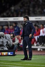 National coach Joachim Low on the sidelines