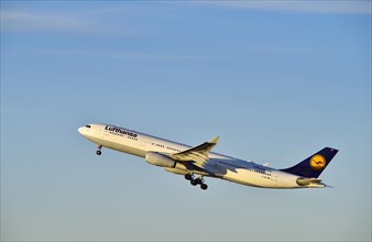Lufthansa Airbus 330 taking off