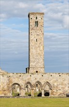 St Rule's Tower