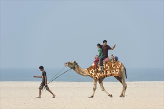 Indian tourists riding a camel