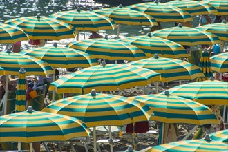 Rows of parasols on the beach