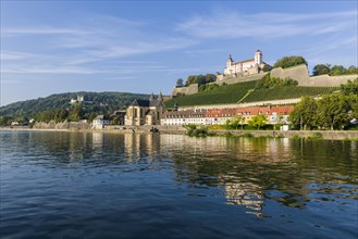 The Main river and Marienberg Fortress