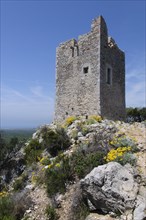 Ruined tower