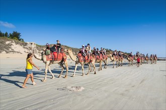 Tourists riding on camels on Cable Beach