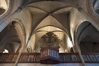 Vaults and organ loft of St. Mary's Church