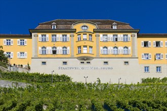 State Winery Meersburg