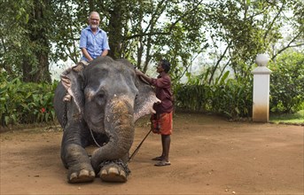 Tourist riding an elephant and mahout or elephant guide