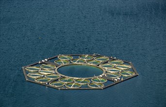 Stechlin Cisco fish farming