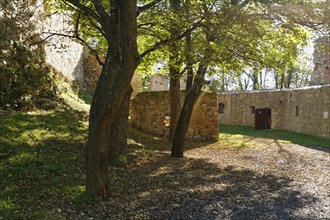 Burgruine Landsee castle ruins