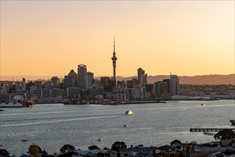Skyline of Auckland at sunset