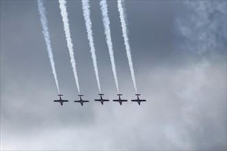 The Canadian Forces Snowbirds aerobatic team air show