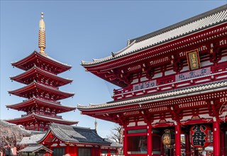 Hozomon Gate and Five-Story Pagoda of Sensoji