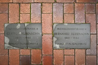 Two stumbling blocks in memory of murdered Jewish citizens during the Nazi period 1933-1945
