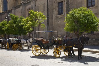 Carriages in the old town