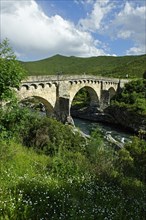 Old Genoese bridge on the river Tavignone in Altiani