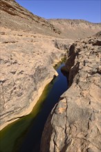 Water in a guelta at Idaran Canyon