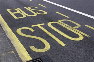 Lettering ""Bus Stop"" painted onto a tarmac road