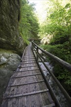 Wooden boardwalk in the Nothklamm gorge