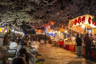 Food stalls with Japanese food at night