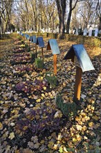 Graves with autumn leaves