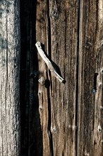 Weathered wooden door