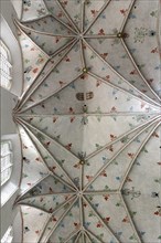 Vaulted ceiling