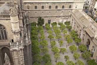 View from the bell tower into the orange tree courtyard of the Cathedral of Santa Maria de la Sede and over the city