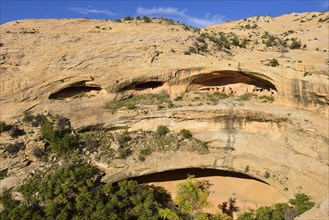 Historic Native American cliff dwellings