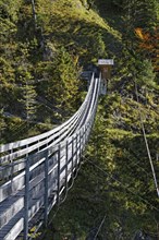 Suspension bridge across the Salza river