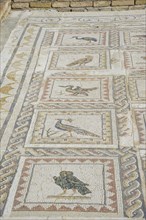 Floor mosaic depicting birds