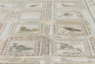 Floor mosaic depicting birds