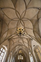 Complex stone vaulting system