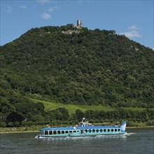 View over the Rhine on Mt. Drachenfels with and Burg Drachenfels castle ruins