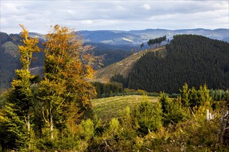 Landscape near Lennestadt
