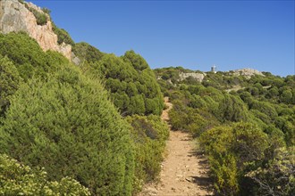 Hiking trail to the Capo Spativento lighthouse