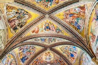 Vaulted frescoes by Fra Angelico
