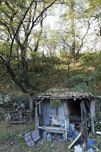 Abandoned hut of a wild small-scale allotment garden