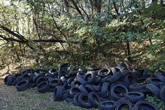 Wild dump with car tyres
