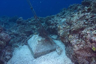 An anchor made of concrete blocks in the coral reef