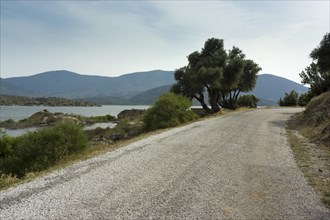 Road at Lake Bafa