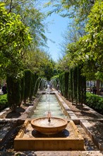 Fountain in the Royal Garden