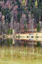 Autumnal forest and hut with a reflection in Lake Ferchensee